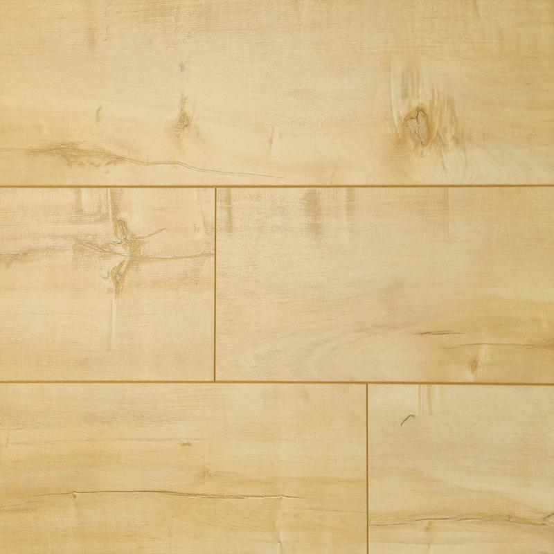 Gold Rush Maple Image