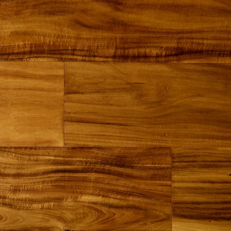 Radiant Acacia Image