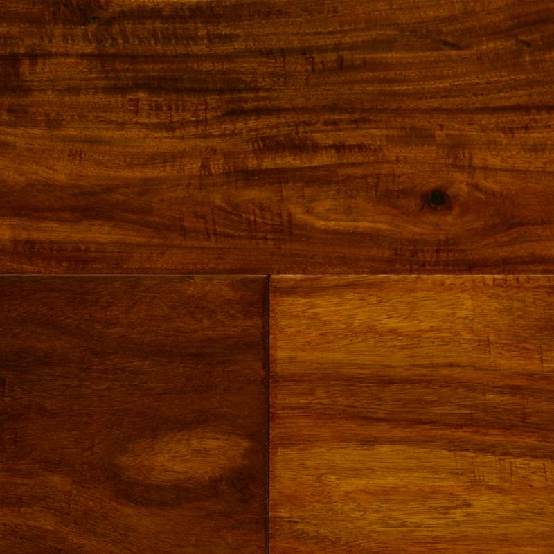 Golden Harvest Acacia Image
