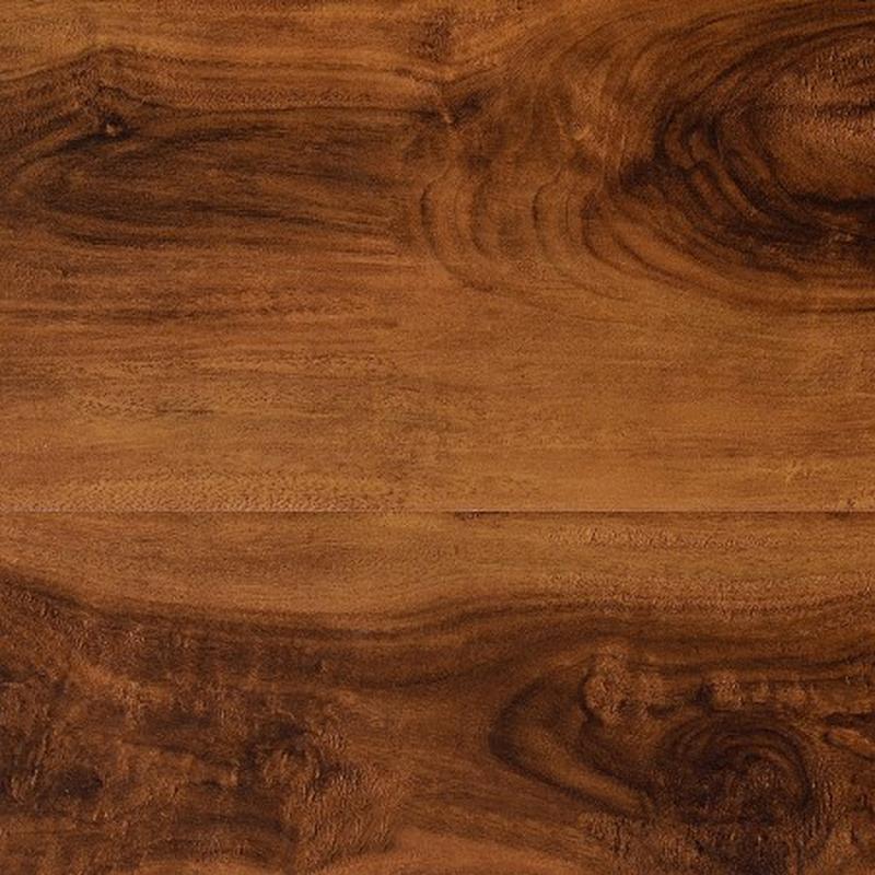 Malaysia Acacia Image